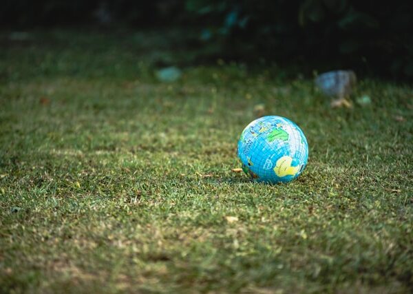 Green IT, come le aziende scelgono di essere sempre più sostenibili