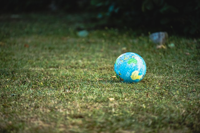 Green IT, come le aziende scelgono di essere sempre più sostenibili